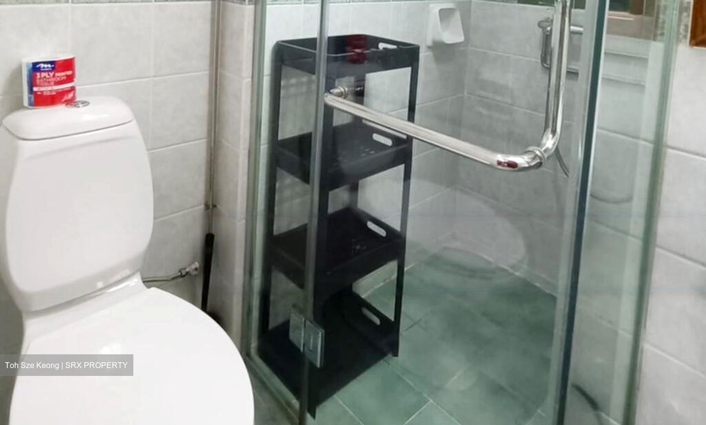 Emerald Garden (D1), Condominium #512161481